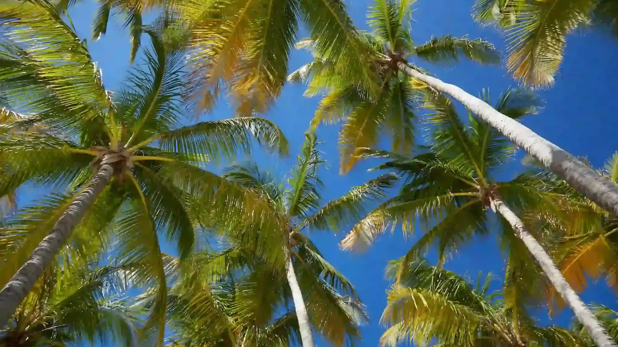 Détendez-vous dans nos villas