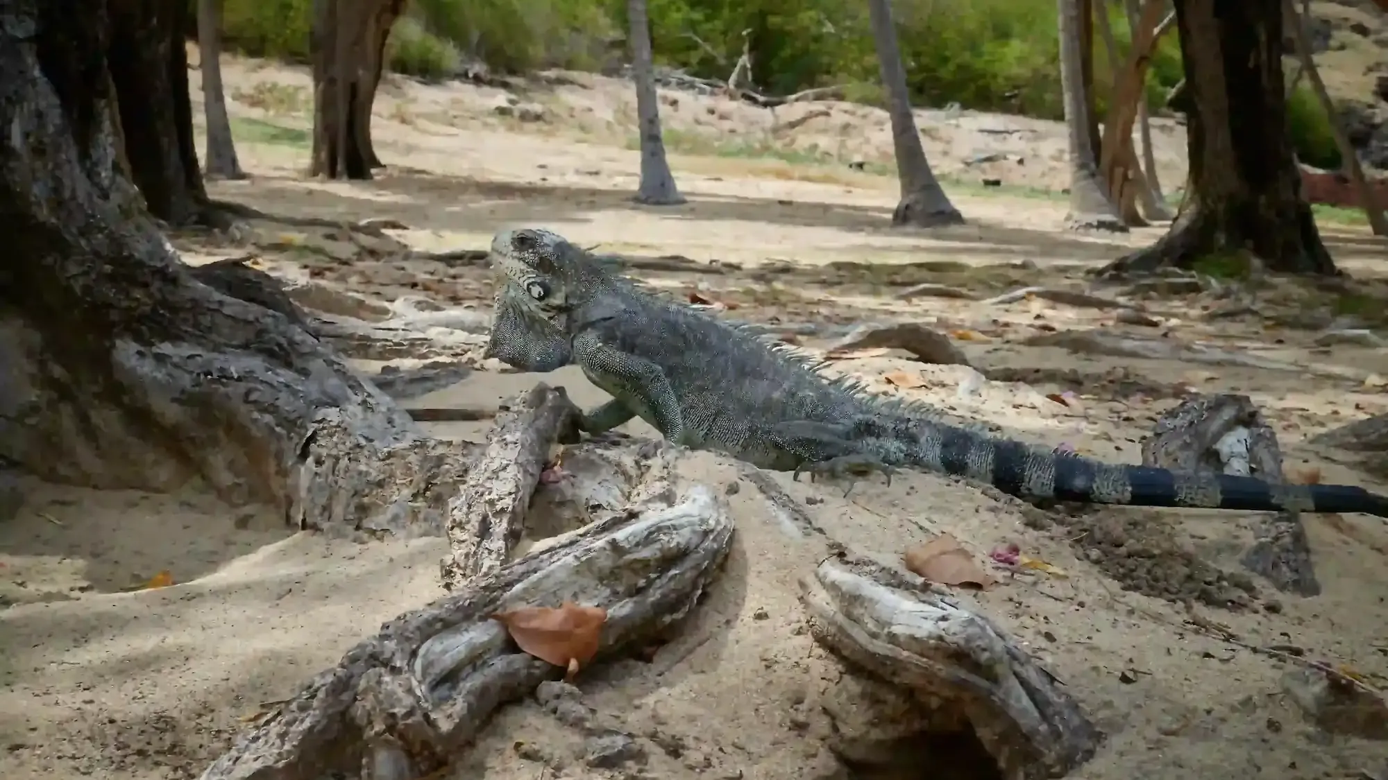 À proximité des plus belles plages